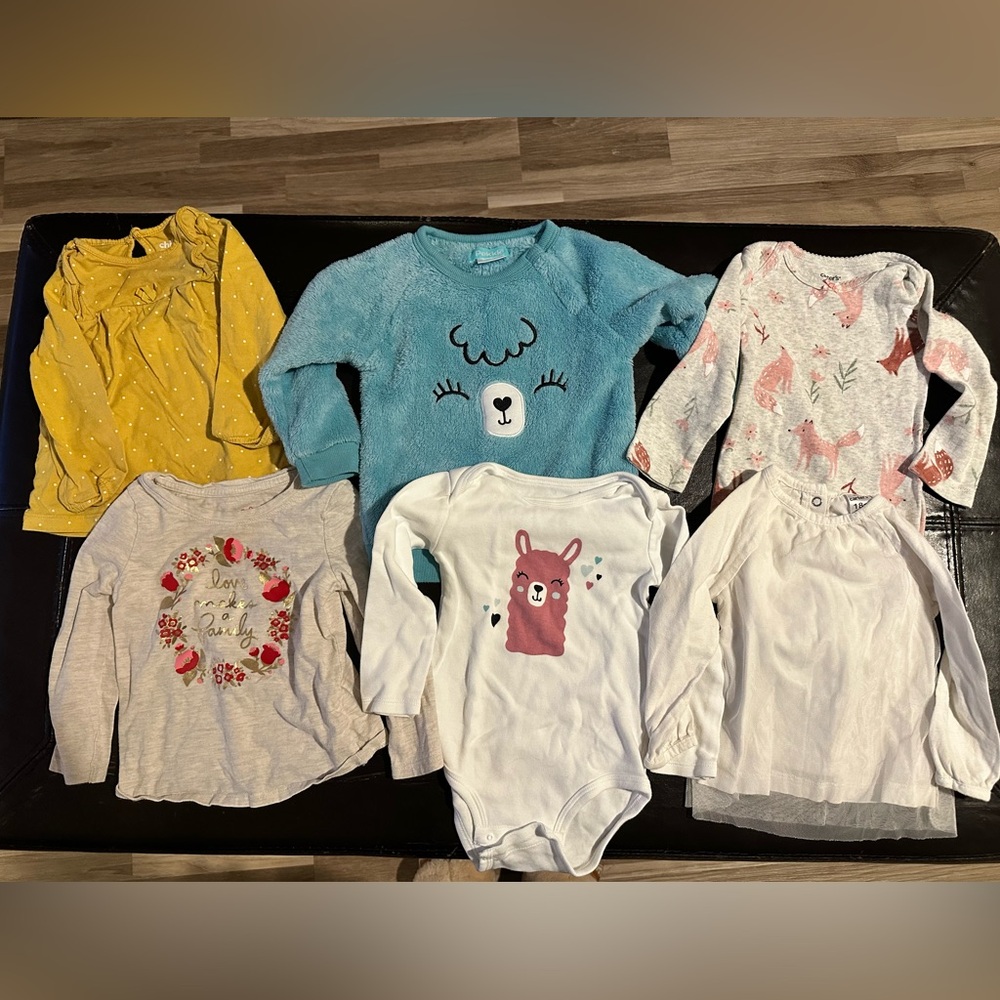 18m Baby Girl Bundle - Tops and Bottoms